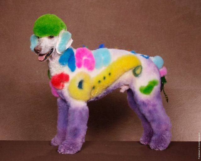 狗狗用什么驱虫